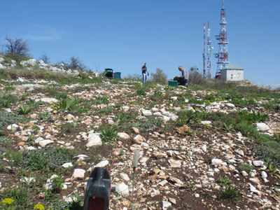 Lokacija za antenski stub na Tupižnici.