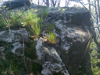 Gabbro rocks on top of the Deli Jovan massifs around Knjaževac